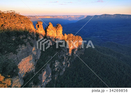 ブルーマウンテンズ ブルーマウンテンズ 34269856