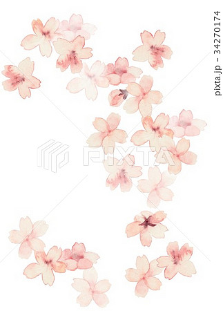 桜咲く 大サイズのイラスト素材