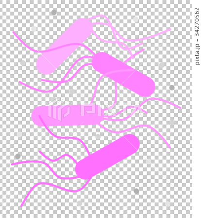 O157 34270562