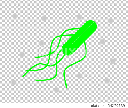 germ, bacterium, o157 34270589