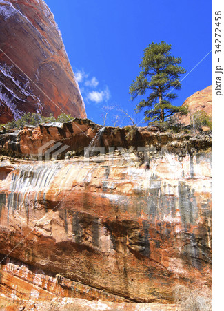 Zion National Park - Emerald Pools Trail Zion National Park - Emerald Pools Trail 34272458