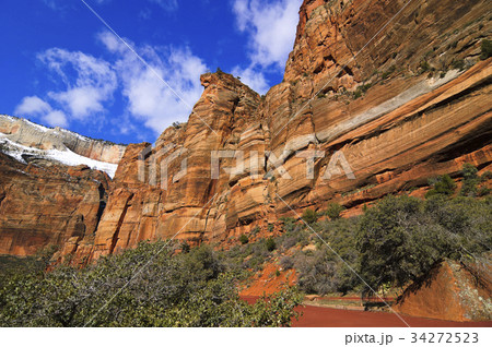 Zion National Park in spring 34272523