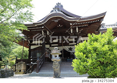 橘寺 34275304