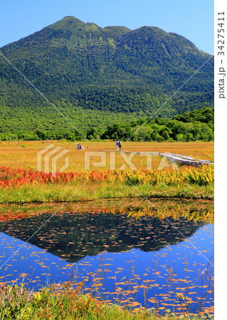 草紅葉の尾瀬ヶ原の池塘に映る燧ヶ岳 草紅葉の尾瀬ヶ原の池塘に映る燧ヶ岳 34275411