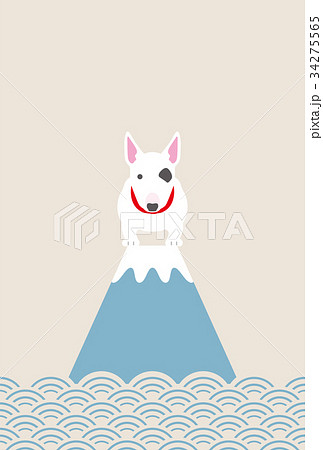 ブルテリア犬と富士山 34275565