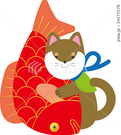 鯛と柴犬 34275576