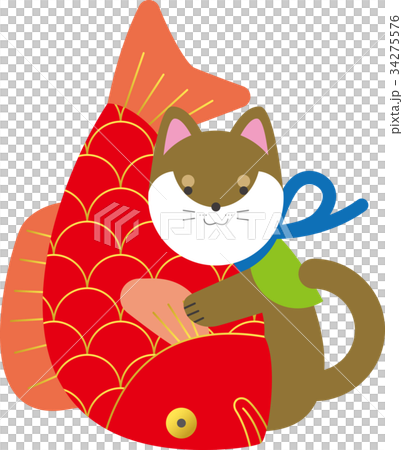 鯛と柴犬 34275576