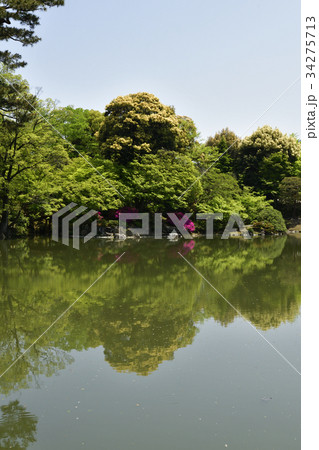 仙洞御所 北池 女院御所の池 仙洞御所 北池 女院御所の池 34275713