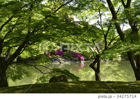 仙洞御所　北池　女院御所の池 34275714