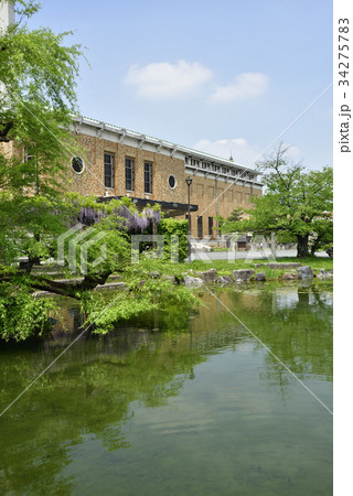京都市美術館　庭園（藤棚） 34275783