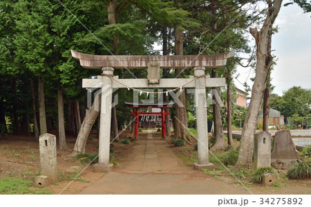 見沼田圃：木傘神社 34275892