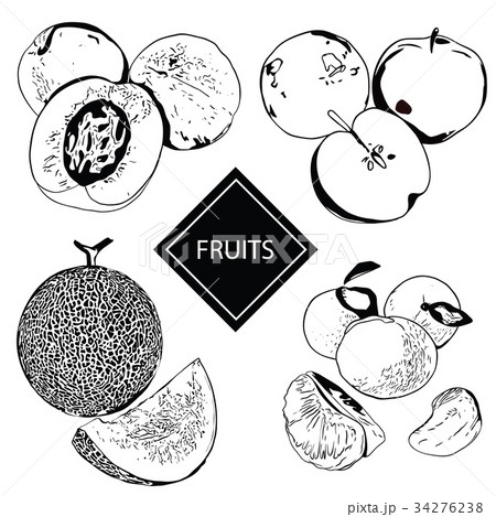 Vector illustration of a peach, apple, melon and 34276238