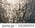 Grass and sunlight bokeh background on the sea. 34280959
