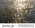 Grass and sunlight bokeh background on the sea. 34281012