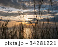 Grass and sunset on the sea and sky background. 34281221