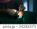 Dental 34282473