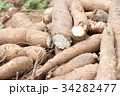 Agriculture economy 34282477