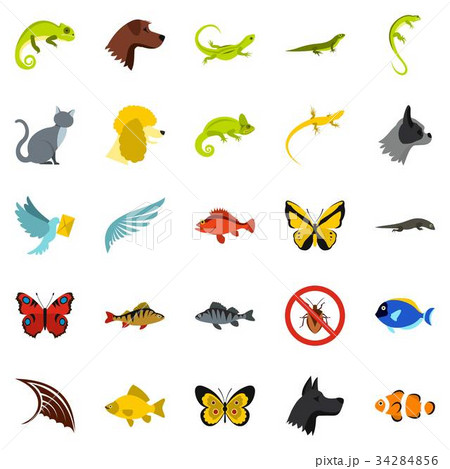 Tropical animals icons set, flat style 34284856