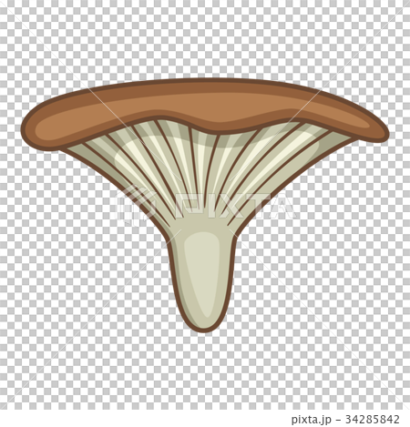 Clitocybe mushroom icon, cartoon style Clitocybe mushroom icon, cartoon style 34285842