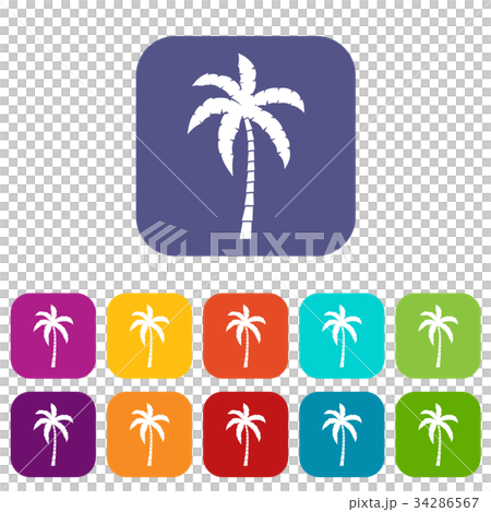 Palm tree icons set 34286567