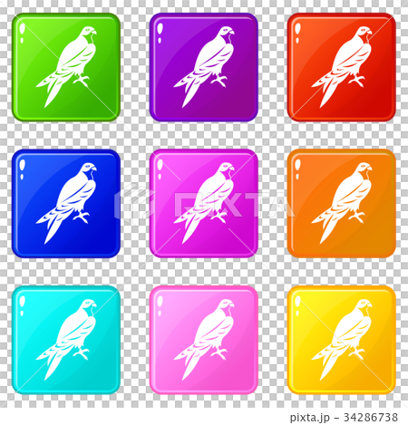 Falcon set 9 34286738