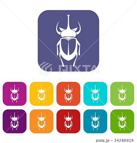 Weevil beetle icons set 34286929