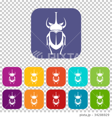 Weevil beetle icons set 34286929