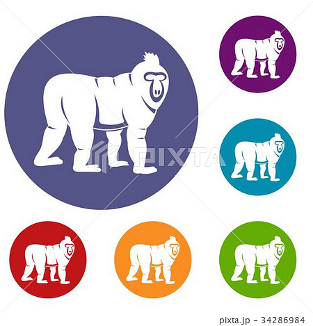 Mandrill monkey icons set Mandrill monkey icons set 34286984