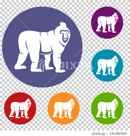 Mandrill monkey icons set Mandrill monkey icons set 34286984