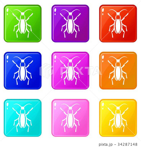 Beetle bug set 9 Beetle bug set 9 34287148