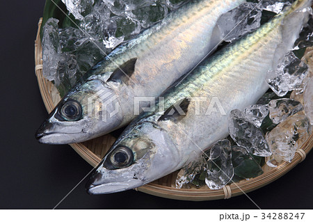 サバ サバ 34288247