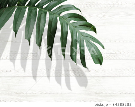 背景 背景 34288282