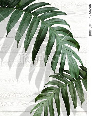 背景 背景 34288286