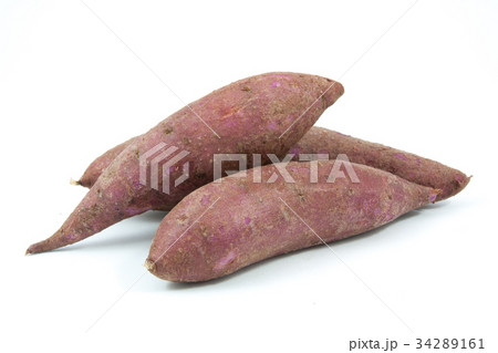 tapioca plants cassava closeup isolated tapioca plants cassava closeup isolated 34289161