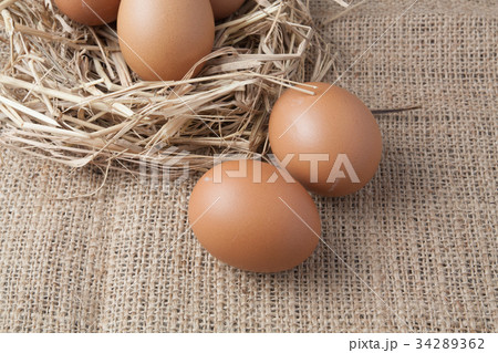 egg in hay nest on old sack 34289362