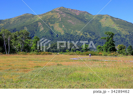 草紅葉の尾瀬ヶ原から見る至仏山 34289462
