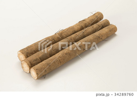 ゴボウ ゴボウ 34289760