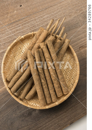 ゴボウ ゴボウ 34289766