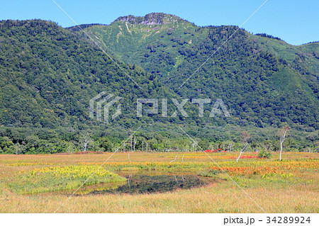 尾瀬ケ原・竜宮付近の池塘と景鶴山 尾瀬ケ原・竜宮付近の池塘と景鶴山 34289924