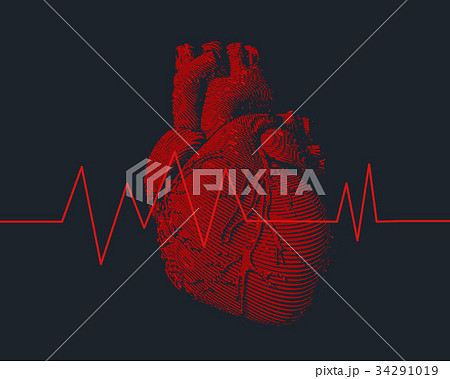 Red human heart with heart rate graph illustration Red human heart with heart rate graph illustration 34291019