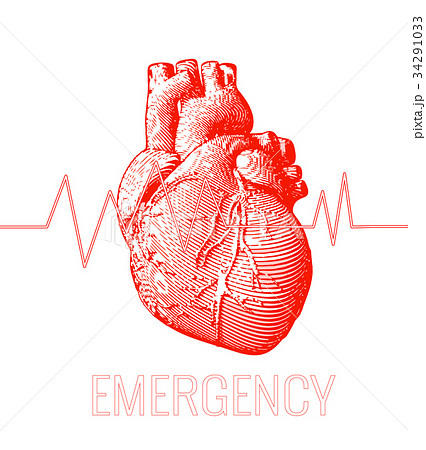 最高かつ最も包括的な心臓 画像 イラスト 無料イラスト集