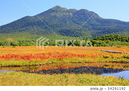 草紅葉の尾瀬ヶ原と燧ヶ岳 草紅葉の尾瀬ヶ原と燧ヶ岳 34291192