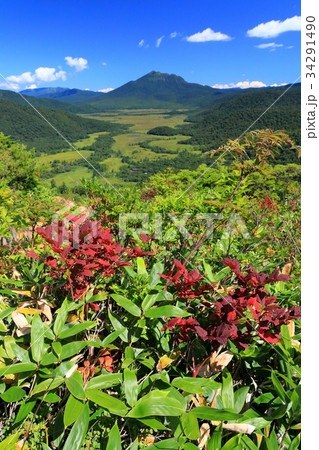 至仏山の登りの紅葉と尾瀬ヶ原・燧ケ岳の眺め 34291490