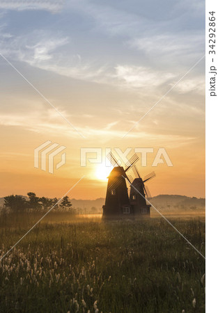 生態公園 仁川 インチョン 34292864