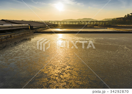 生態公園 塩田 仁川 34292870