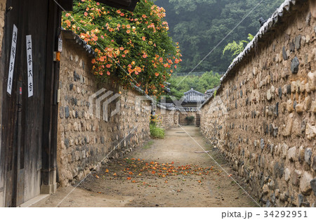 ジャカランダ 大邱 ドア 34292951