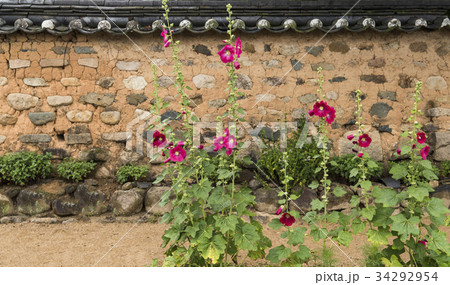 大邱 土壁 韓国 34292954