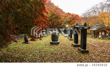 不渡り 全北 井邑市 34293010
