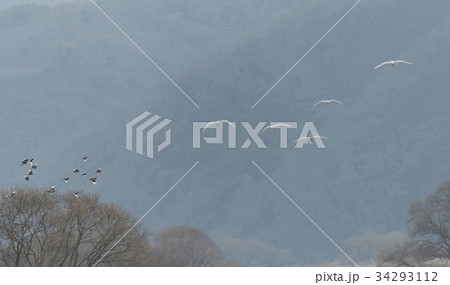 京畿道 キョンギド 山 34293112