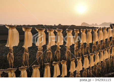 済州島 ハンギョン 韓国 34293115